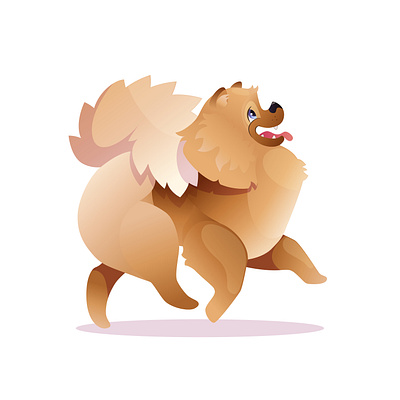 The Spitz dog is running animal animalart art artwork cartoon cartoon character character digital illustration dog illustration spitz vector vectorillustration