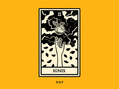 Ignis Tarot beer beer label branding brewery can craft beer craftbeer design illustration pnw tarot card