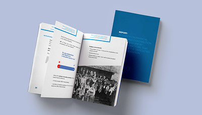UNDP report diaspora's graphicdesign