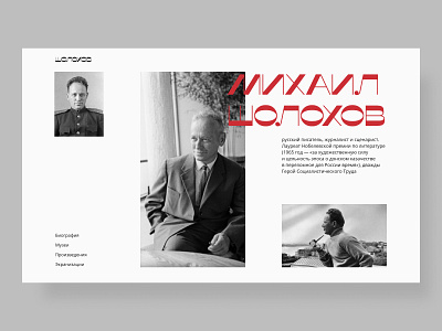 Mikhail Sholokhov concept shot art books color design literature russianwriter typography ui uidesign ux uxdesign web webdesign website website design