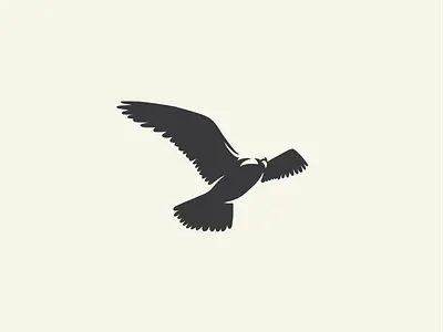 bird negative space bird bird logo birds graphicdesign hawk icon illustration illustrator negative space negativespace vector vectorillustration