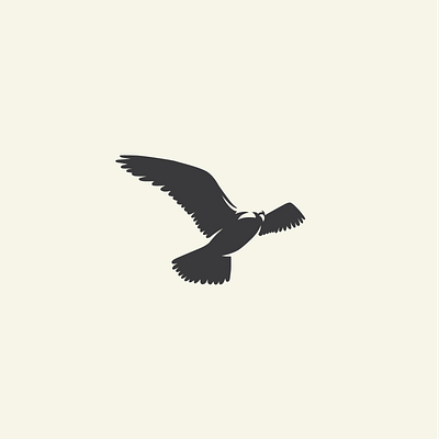 bird negative space bird bird logo birds graphicdesign hawk icon illustration illustrator negative space negativespace vector vectorillustration