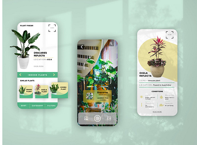 Indoor Plant Finder - App UI concept