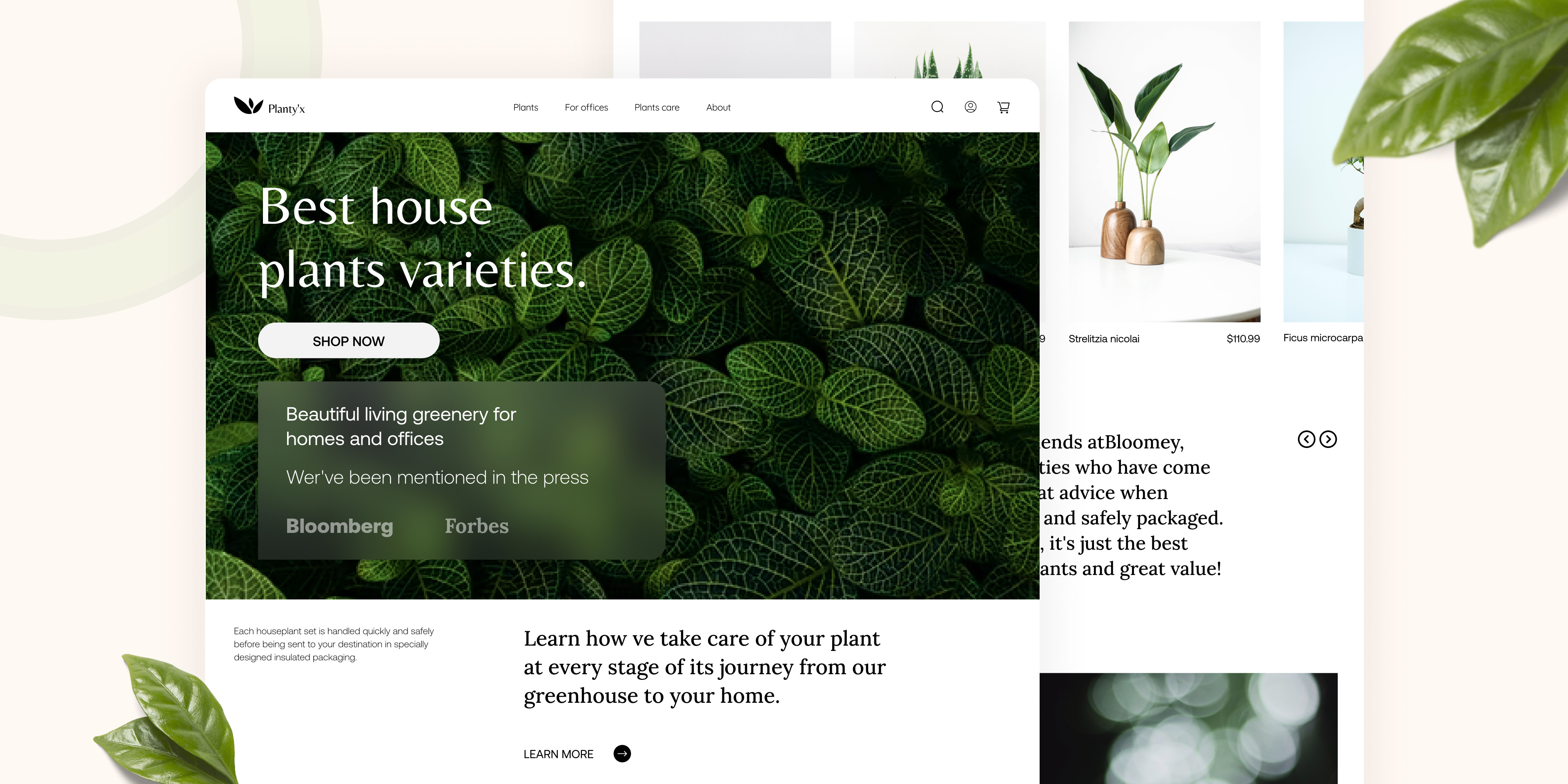 Plantyuidesign designs, themes, templates and downloadable graphic ...