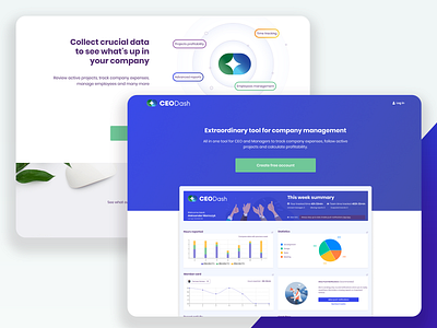 CEO Dash aplication dashboad dashboard app dashboard design dashboard ui design ui ux