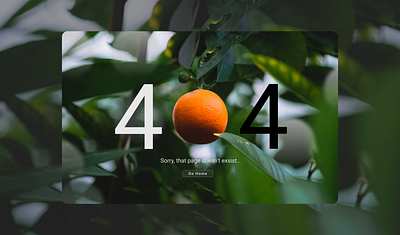 404 PAGE - Daily UI 008 @dailyui art branding design flat graphic design ui ux web website