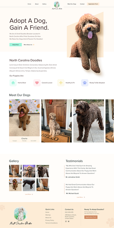 Dog Adoption Website Design for NC Doodles design minimal typography ui ux web web design website website design