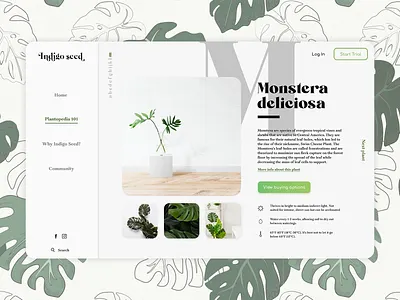 Indigo Seed single item page branding dailyui dailyuichallenge ecommerce fakebrand minimal minimaldesign minimalism minimalui minimaluidesign plants singleitem ui uidesign uiux ux uxdesign web webdesign