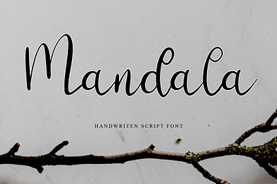 Mandala calligraphy font design fonts handmade handwritten illustration littering script typography