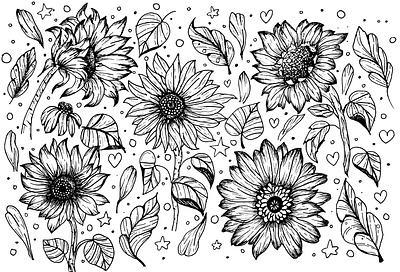 Sunflowers Handrawn Vector Set blossom botany design element doodle drawing farmhouse garden hand drawn handdrawn silhouette sunflower sunflowers