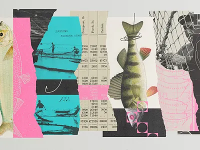 274 collage illustration