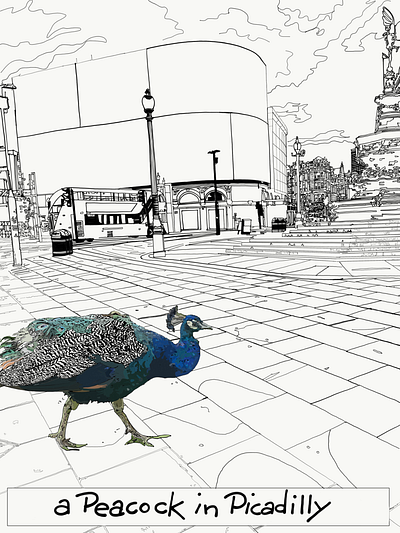 Detail from ‘A Peacock In Piccadilly’ animation art blackandwhite colourful cool digital art illustration illustration digital london mykadelica