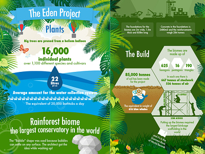 The Eden Project branding editorial flat graphic design illustration infographics vector