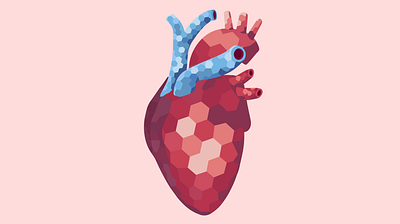 Heart geometric art heart human body illustraion illustration illustrator picture