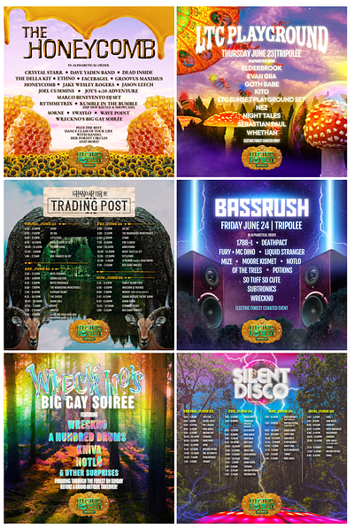 Electric Forest IG Lineup design graphic design social template