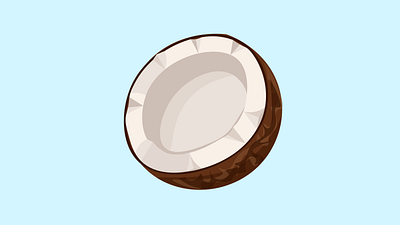 Coconut coconut food illustrator picture