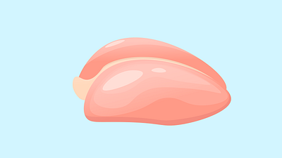 Chiken chiken food food illustration illustration illustrator meat