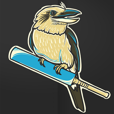 Kookaburra Cricket design graphicdesign illustrate illustrator logo logodesign