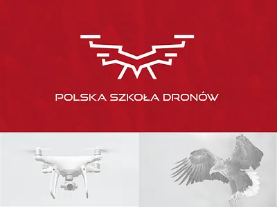 Polska Szkoła Dronów branding drone drones eagle flyer identity illustration logo school vector