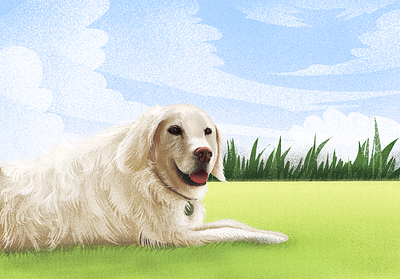 Chillin Dog animal dog golden illustration labrador pet portrait procreate retriever texture