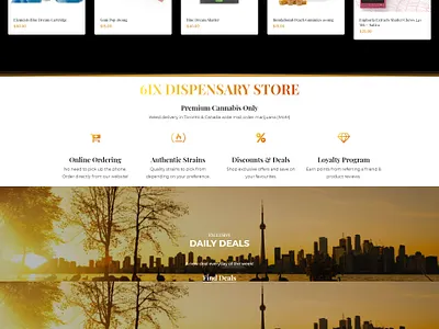 6ix Dispensary website design website development