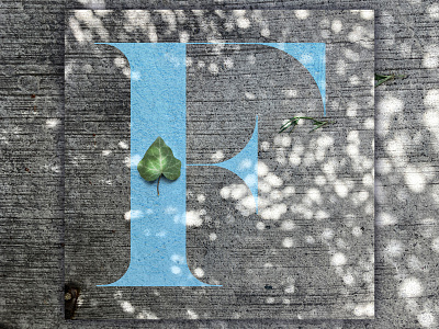 F - for 36 Days of Type 36daysoftype adobe alphabet design graphic design house illustrator mexico mexico city photograhy photoshop plant street texture typedesign typography