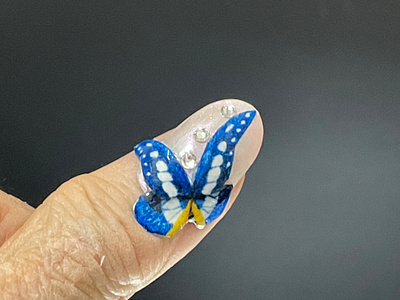 Morpho Rhetenor Helena accessories brooch butterfly embroidery 付け爪