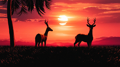 Sunset 3d art c4d design