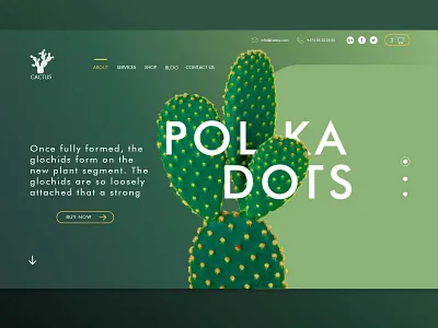 Cactus Website @design design illustration landing ui uiuxdesign ux vector web