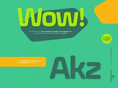 AmpleNuSoft - A display type family character design font glyph letter soneritype type typeface