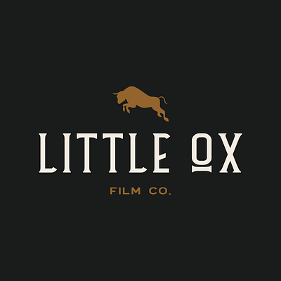 Little Ox Film Company brand branding branding agency branding and identity branding concept branding design company company logo film flat graphicdesign logo logo design logo design branding logo design concept logo designer logo designs logos ox small business