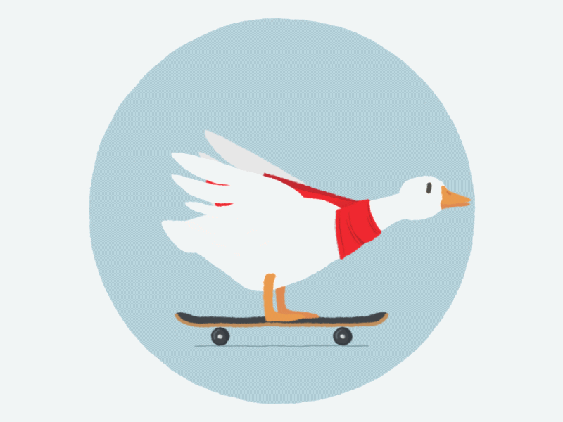 Gotta go fast! 2d animation adobe after effect adobe illustrator animation character design goose illustration motion