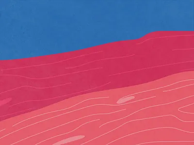 coon squad after effects animation animation 2d creative digital art illustration illustrator minimal motion graphics raccoons snail vector