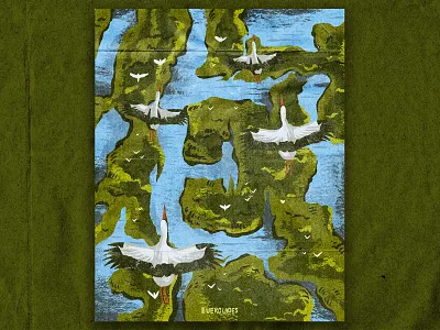 E for Everglades everglades florida illustration national park nature retro swamp texture vintage