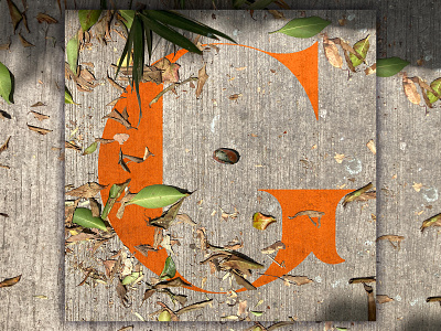 G - 36 Days of Type 36daysoftype adobe alphabet design graphic design house illustrator mexico mexico city photography photoshop plant street type typedesign typography