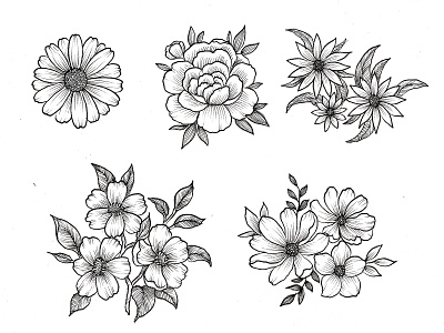 Flower Handdrawn Cliparts blossom botany design element doodle drawing farmhouse garden hand drawn handdrawn silhouette