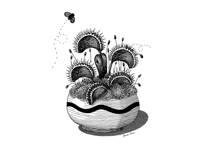 Venus Flytrap blackandwhite book cover book illustrations fineliner ink ink drawing ink pen inkart inkartist inktober inktober2021 inktober52 lineart plants venus flytrap