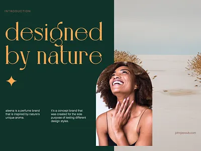 Aleena | Concept branding (02) brand brand design brandidentity branding branding concept clean concept design illustration logo logo design logo designer logodesign minimal typography ui ux web