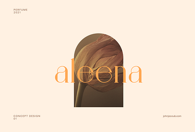 Aleena | Concept branding brand branding clean concept design flat illustration logo logo design logo design concept logo designer minimal mobile typography