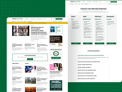 Mergers and Acquisitions custom design development pricing page subscription typography ui ux wordpress