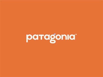 Patagonia Logo Redesign designsbyhiroki logo logodesign logos patagonia type typehype typography