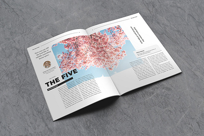 Lifestyle Indesign Template architecture brochure creative design designs digital editorial fashion indesign luuqas magazine multipurpose page pdf print sale template