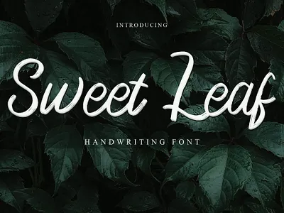 Sweet Leaf calligraphy design font design fonts handmade handwritten littering script typography web