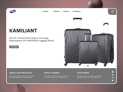 Travelling bags branding design designs minimal new typography ui ux web website