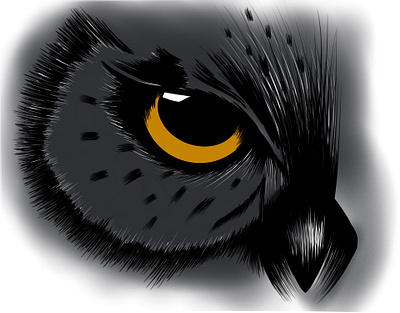 Owl art color digital art digital illustration digitalart draw drawing eye grey illustration ipadpro light like passion procreate save shadow staysafe