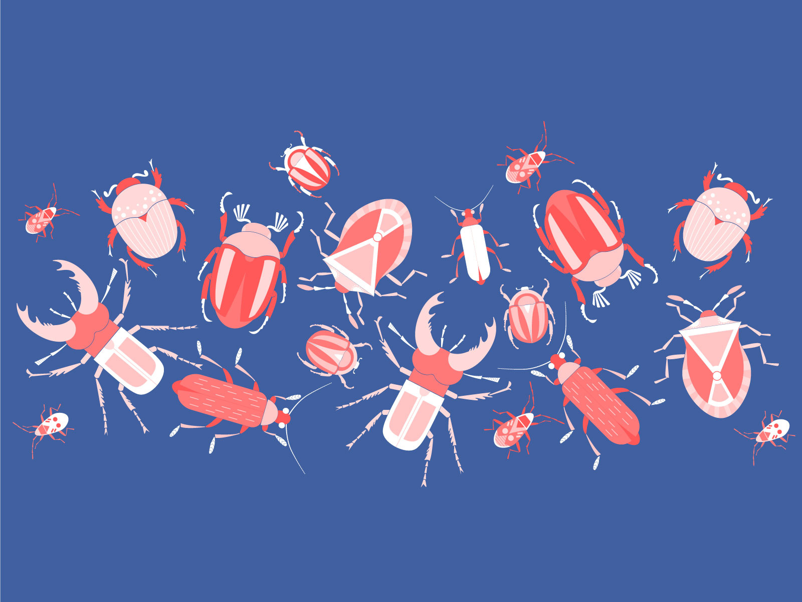 Example of Bugs pattern red on blue