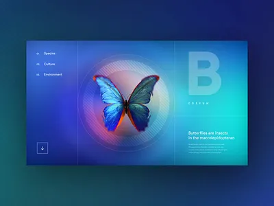 Butterfly Handbook - Concept 3d after effects aftereffects animation butterflies butterfly concept design layout product ui uxui visual website