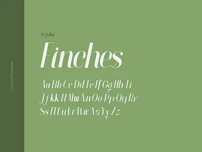 Finches app design design design inspiration font font inspiration font of the week fotw free fonts free typeface google fonts graphic design interface type inspiration typeface typography ui user experience user interface ux web design