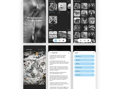 Animalpedia app app black white design minimal photo app ui ux web
