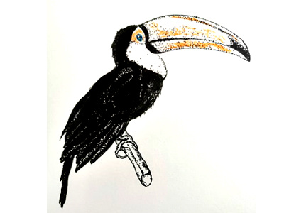 toucan bird fait main handmade illustration oiseau pointillism pointillisme toucan